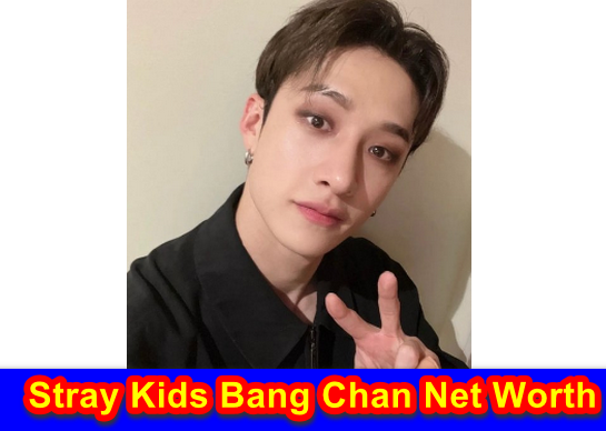 Stray Kids Bang Chan Net Worth